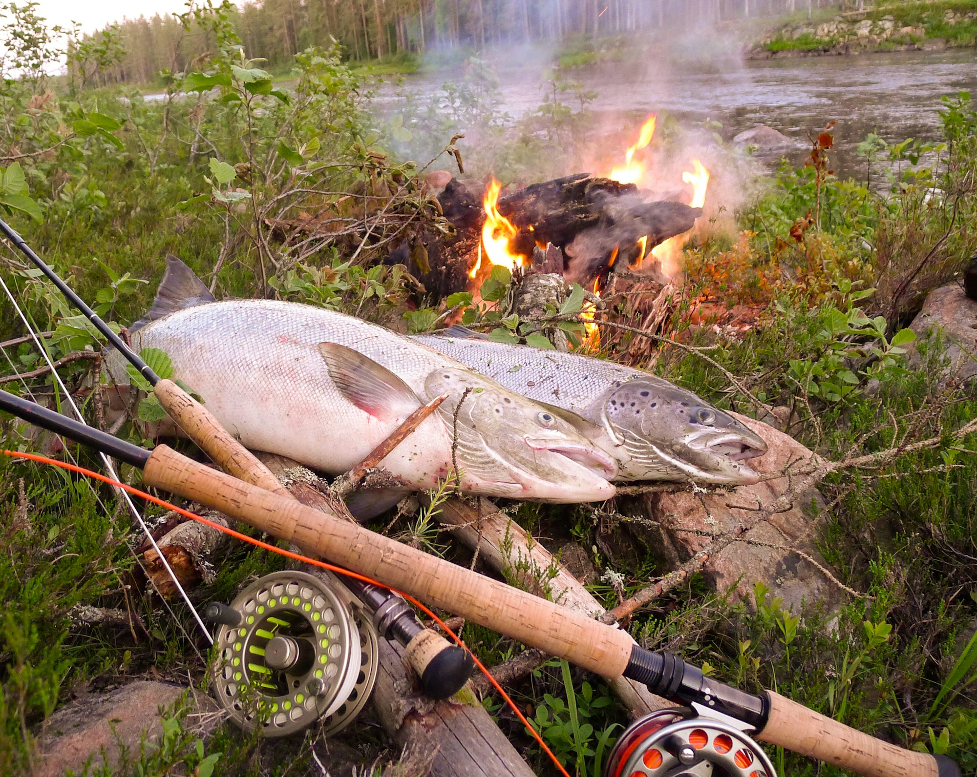 Fångsten